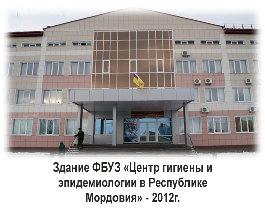 история