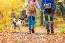 Описание: C:\Users\gbogdanova\Desktop\shutterstock_334941971-800x534.jpg